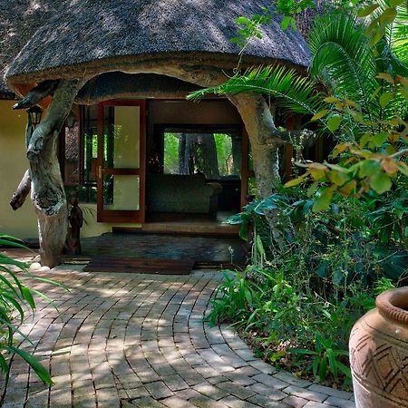 Royal Tree Lodge Maun Kültér fotó