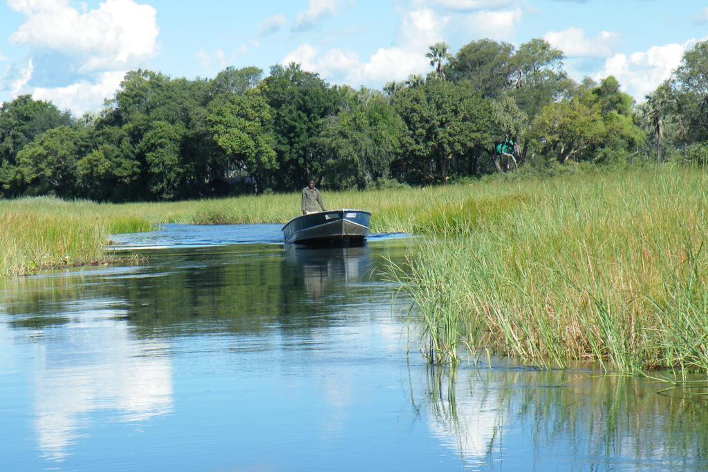 Royal Tree Lodge Maun Kültér fotó