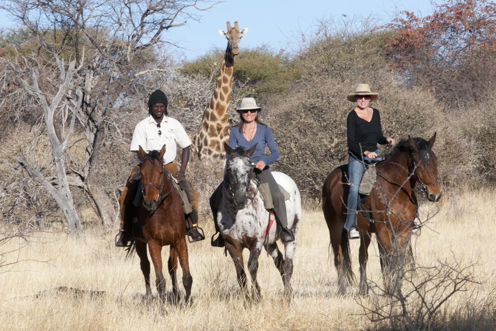 Royal Tree Lodge Maun Kültér fotó