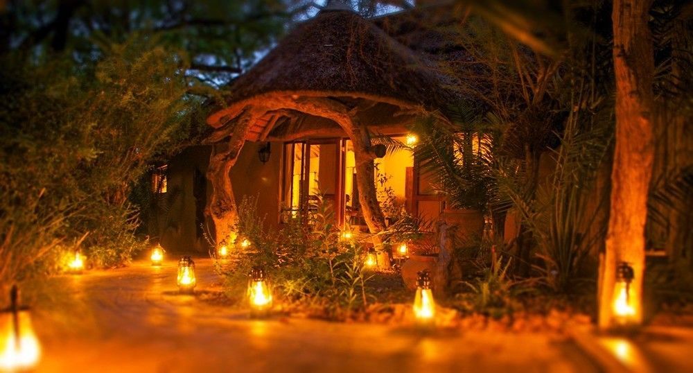 Royal Tree Lodge Maun Kültér fotó