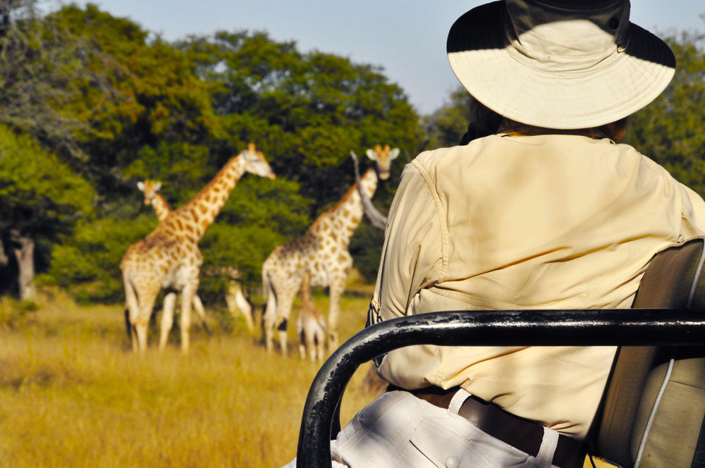 Royal Tree Lodge Maun Kültér fotó