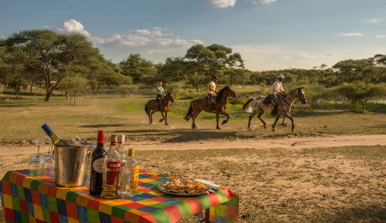 Royal Tree Lodge Maun Kültér fotó