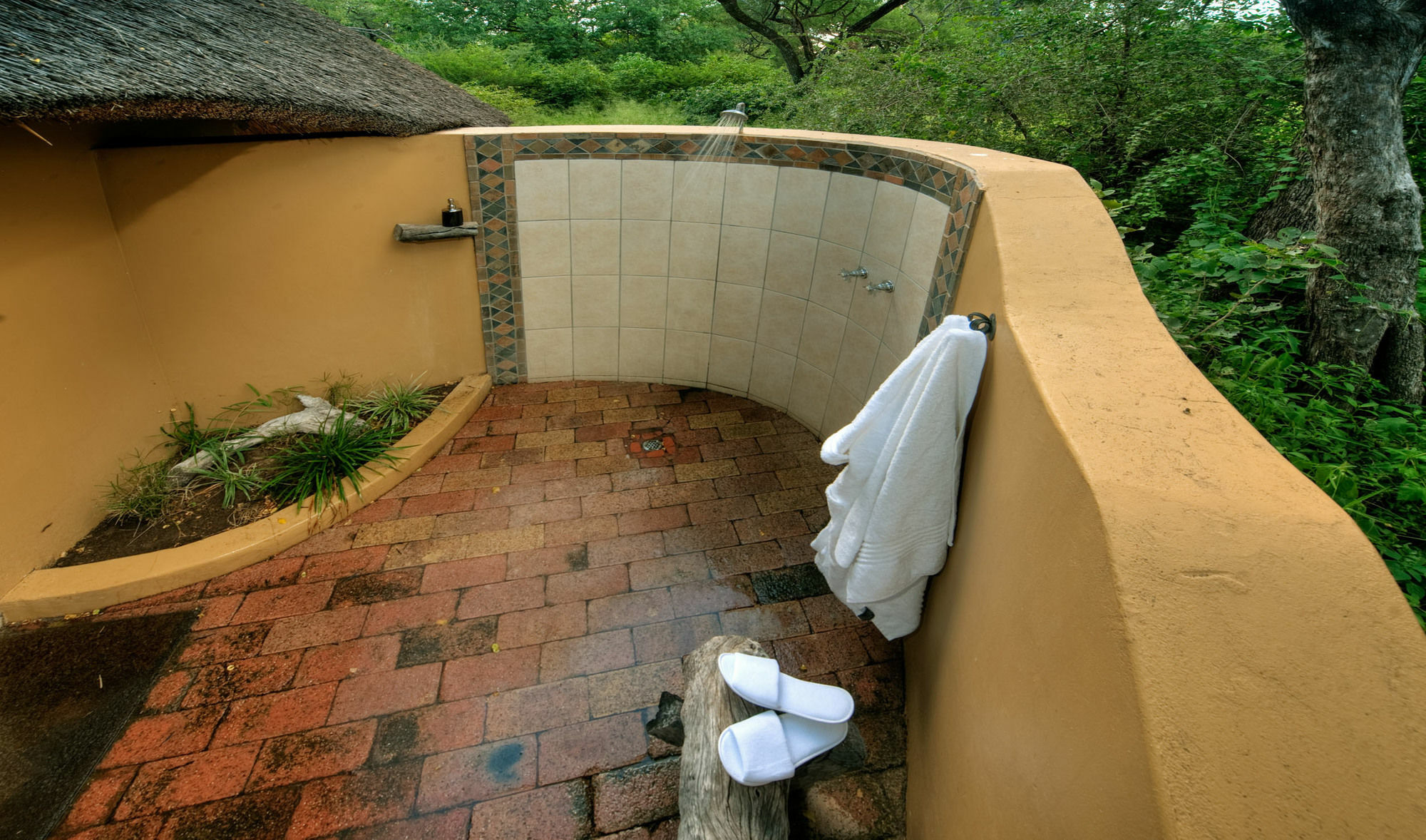 Royal Tree Lodge Maun Kültér fotó