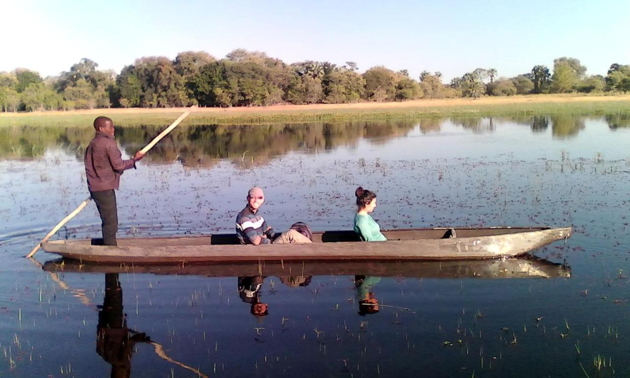 Royal Tree Lodge Maun Kültér fotó